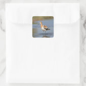 American Avocet staand in water Vierkante Sticker (Tas)