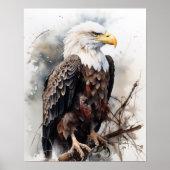 American Bald Eagle Bird Art Print Poster (Voorkant)
