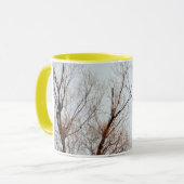 American Bald Eagle Circling the Nest Mok (Voorkant links)