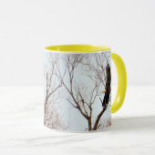 American Bald Eagle Circling the Nest Mok (Voorkant rechts)