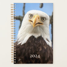 American Bald Eagle Gezicht Grappige Fine Art