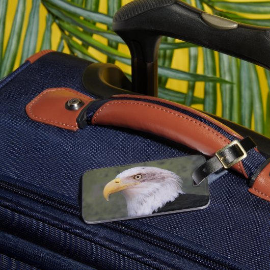 American Bald Eagle Head Bagagelabel (Voorkant Insitu 3)