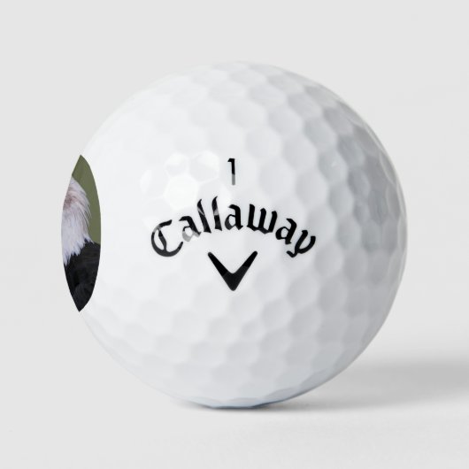 American Bald Eagle Head Golfballen (Logo)