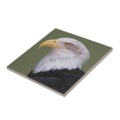American Bald Eagle Head Tegeltje (Zijkant)