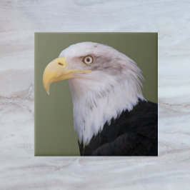 American Bald Eagle Head Tegeltje