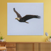 American Bald Eagle In Flight Canvas Afdruk (Insitu (Woonkamer))