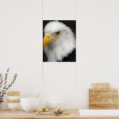 "American Bald Eagle in Portrait" Poster (Keuken)