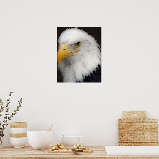 "American Bald Eagle in Portrait" Poster (Keuken)