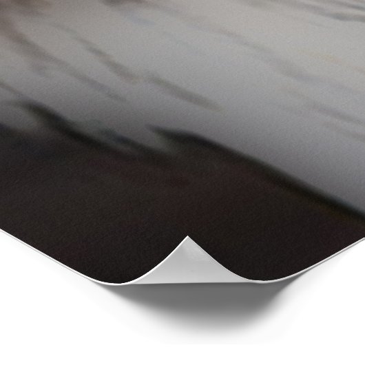 "American Bald Eagle in Portrait" Poster (Hoek)