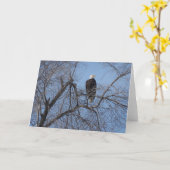 American Bald Eagle in Tree Card - White Inside Kaart (Gele Bloem)