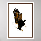American Bald Eagle Landing Poster (Voorkant)