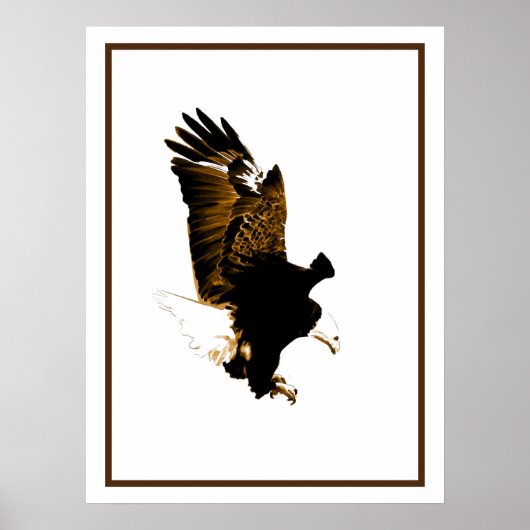 American Bald Eagle Landing Poster (Voorkant)