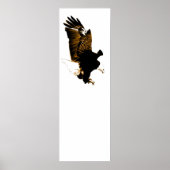 American Bald Eagle Landing Poster (Voorkant)