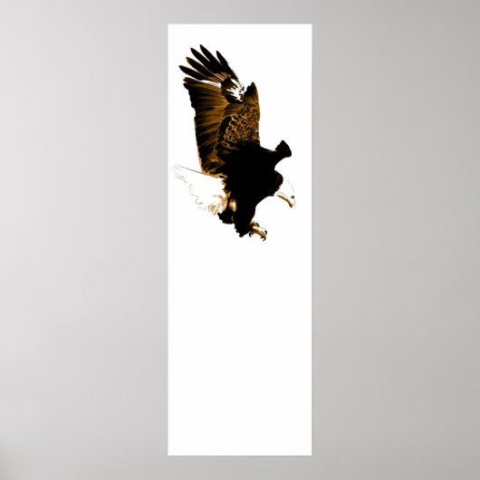 American Bald Eagle Landing Poster (Voorkant)