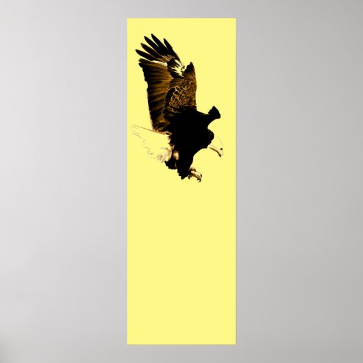American Bald Eagle Landing Poster (Voorkant)