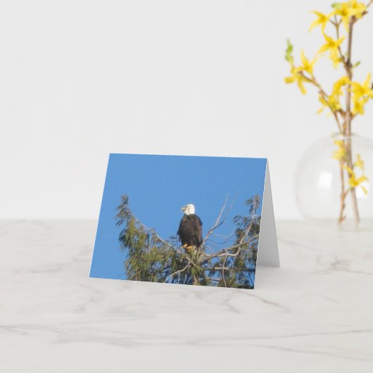 American Bald Eagle Note Kaart (Gele Bloem)