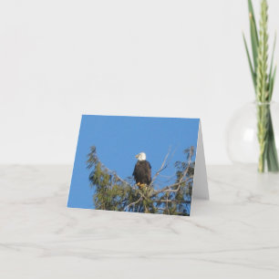 American Bald Eagle Note Kaart
