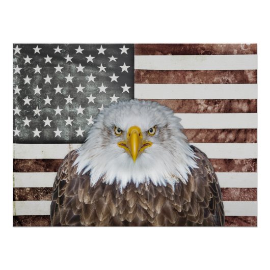 American Bald Eagle Patriot Perfect Poster (Voorkant)