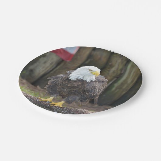 American Bald Eagle Perched on a Log Papieren Bordje (Gekanteld)