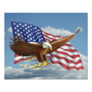 American Bald Eagle Photo Print Foto Afdruk