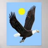 American Bald Eagle Print (Voorkant)