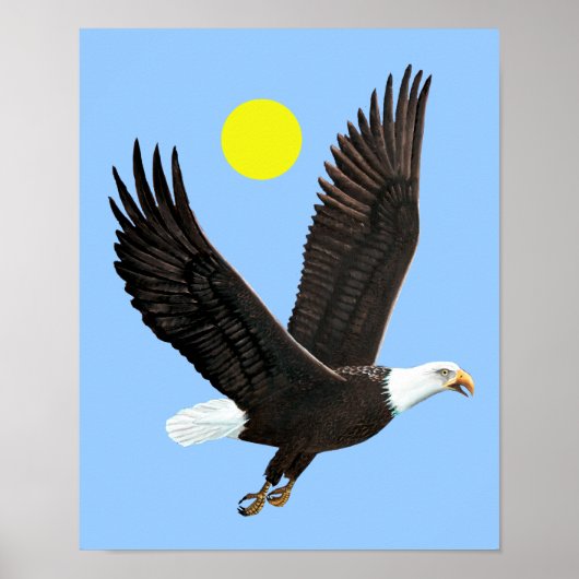 American Bald Eagle Print (Voorkant)