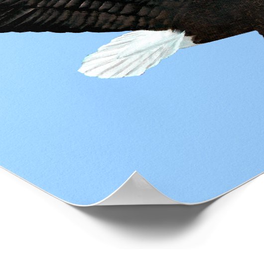 American Bald Eagle Print (Hoek)