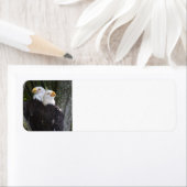 American Bald Eagle Retouradreslabels Etiket (Insitu)