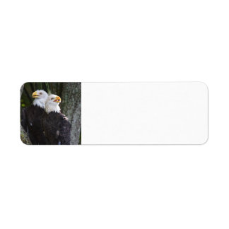 American Bald Eagle Retouradreslabels Etiket