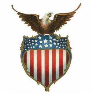 American Bald Eagle, sterren & stripe atop of shie Staand Fotobeeldje