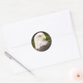 American Bald Eagle Sticker (Envelop)