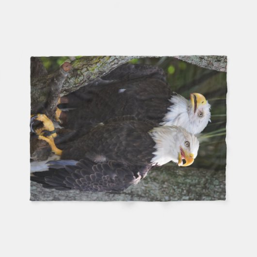 American Bald Eagle Throw Fleece Deken (Voorkant (Horizontaal))