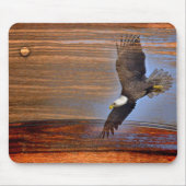 AMERICAN BALD ELLE MUISMAT (Voorkant)