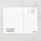 American Barn Briefkaart (Achterkant)