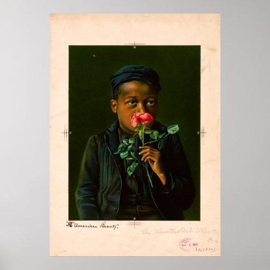 American Beauty (1895) Poster (Voorkant)