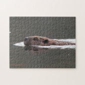 American Beaver Legpuzzel (Horizontaal)