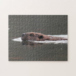 American Beaver Legpuzzel