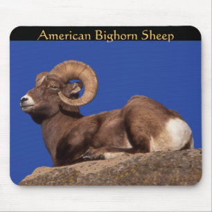 American Bighorn Sheep Mousepad Muismat