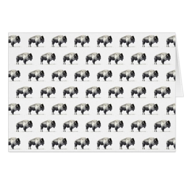 American Bison (Voorkant Horizontaal)