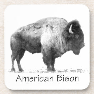 American Bison Bier Onderzetter
