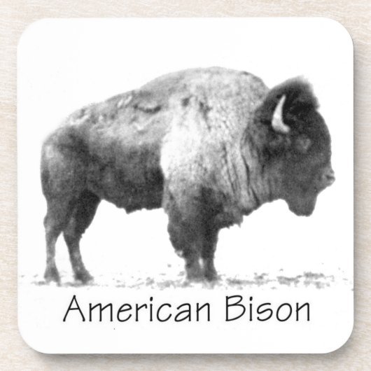 American Bison Bier Onderzetter (Voorkant)