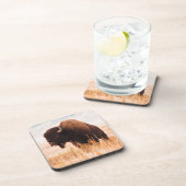 American Bison (Bison Bison) Herd In Teton 2 Bier Onderzetter (Rechterzijde)