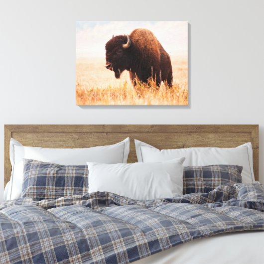 American Bison (Bison Bison) Herd In Teton 2 Canvas Afdruk (Insitu (Slaapkamer))