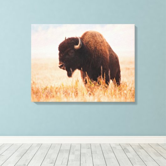 American Bison (Bison Bison) Herd In Teton 2 Canvas Afdruk (Insitu (Houten vloer))