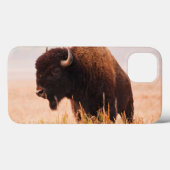American Bison (Bison Bison) Herd In Teton 2 Case-Mate iPhone Case (Achterkant (horizontaal))