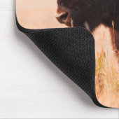 American Bison (Bison Bison) Herd In Teton 2 Muismat (Hoek)