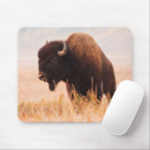 American Bison (Bison Bison) Herd In Teton 2 Muismat (Met muis)