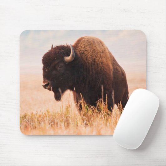 American Bison (Bison Bison) Herd In Teton 2 Muismat (Met muis)