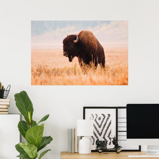 American Bison (Bison Bison) Herd In Teton 2 Poster (Thuiskantoor)