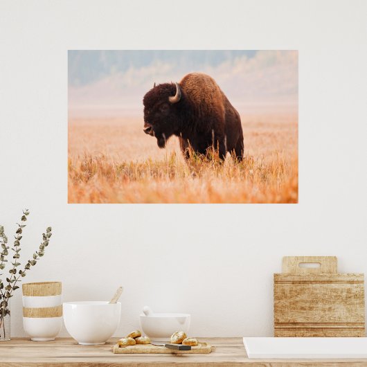 American Bison (Bison Bison) Herd In Teton 2 Poster (Keuken)